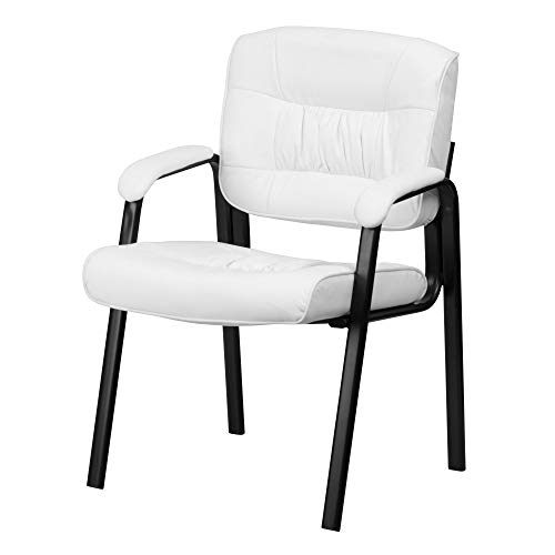 Algopix Similar Product 18 - Delacora BT1404WHGG 24 Inch Wide
