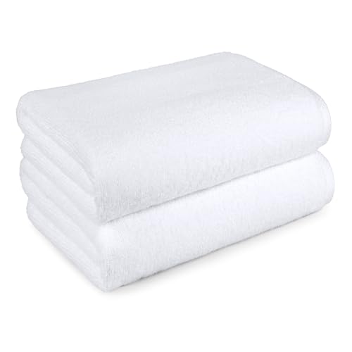 Algopix Similar Product 9 - Amazon Basics 2Piece QuickDry