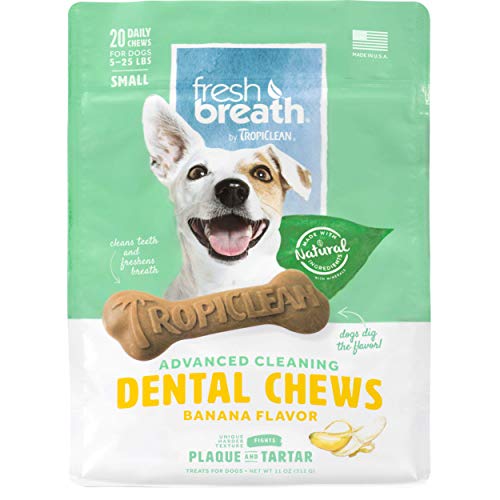 Algopix Similar Product 2 - Fresh Breath by TropiClean Dog Dental