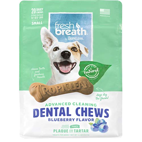 Algopix Similar Product 3 - Fresh Breath by TropiClean Dog Dental
