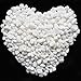Algopix Similar Product 17 - Wayber Decorative Stones 1 Lb455g