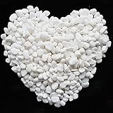 Algopix Similar Product 1 - Wayber Decorative Stones 1 Lb455g