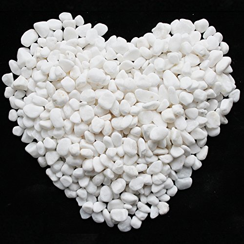 Algopix Similar Product 1 - Wayber Decorative Stones 1 Lb455g