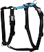 Algopix Similar Product 15 - Blue9 BuckleNeck Balance Harness