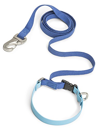Algopix Similar Product 12 - WEST PAW Jaunts Dog Leash with Comfort