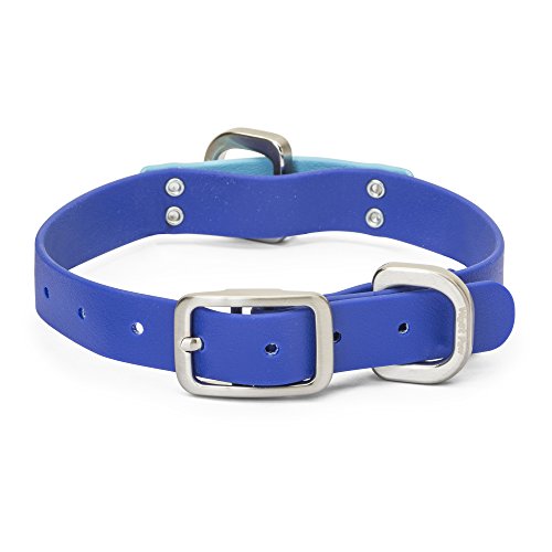 Algopix Similar Product 12 - WEST PAW Jaunts Dog Collar Small