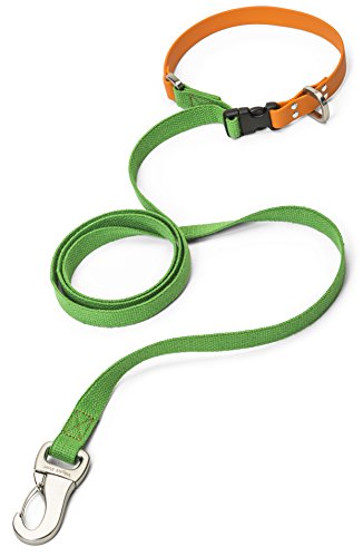 Algopix Similar Product 13 - WEST PAW Jaunts Dog Leash with Comfort