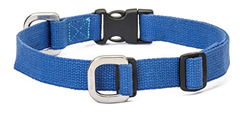Algopix Similar Product 6 - West Paw Strolls Dog Collar with Hemp
