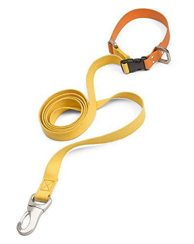 Algopix Similar Product 11 - WEST PAW Jaunts Dog Leash with Comfort