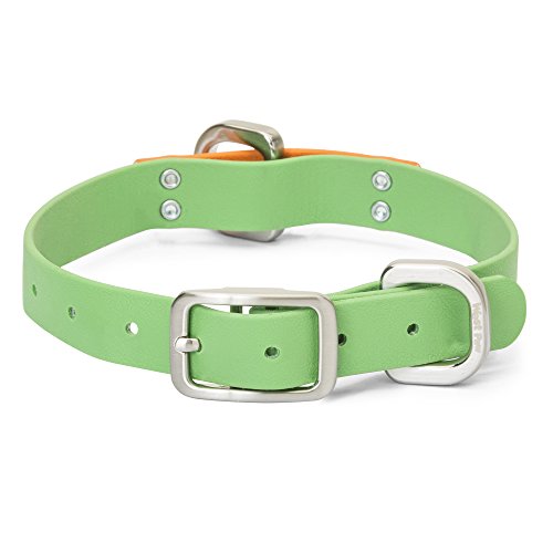Algopix Similar Product 18 - WEST PAW Jaunts Dog Collar Small