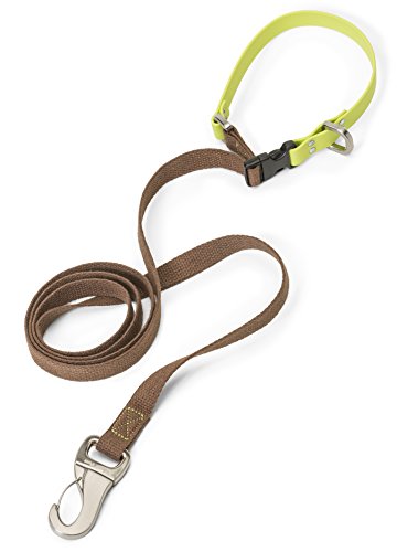 Algopix Similar Product 2 - WEST PAW Jaunts Dog Leash with Comfort