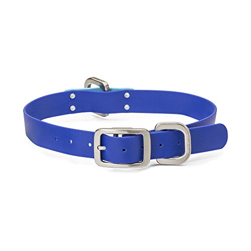 Algopix Similar Product 19 - West Paw Jaunts Dog Collar XLarge