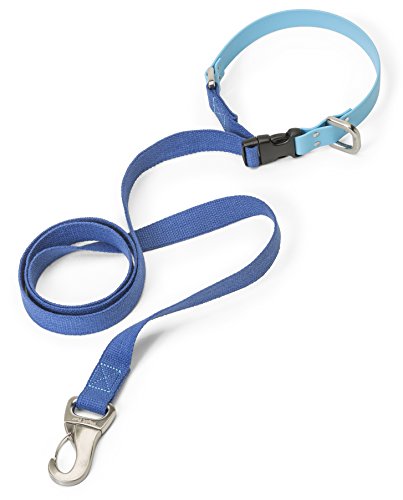 Algopix Similar Product 4 - WEST PAW Jaunts Dog Leash with Comfort
