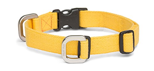 Algopix Similar Product 12 - 