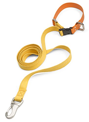 Algopix Similar Product 14 - WEST PAW Jaunts Dog Leash with Comfort