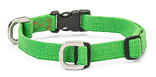 Algopix Similar Product 15 - West Paw Strolls Dog Collar with Hemp