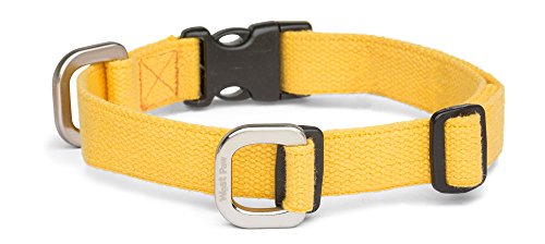 Algopix Similar Product 9 - West Paw Strolls Dog Collar with Hemp