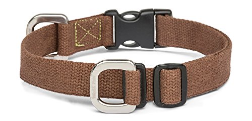 Algopix Similar Product 13 - West Paw Strolls Dog Collar with Hemp