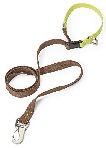 Algopix Similar Product 7 - WEST PAW Jaunts Dog Leash with Comfort