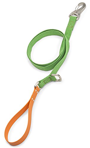 Algopix Similar Product 3 - West Paw Strolls Dog Leash with Comfort