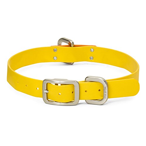 Algopix Similar Product 6 - WEST PAW Jaunts Dog Collar XLarge