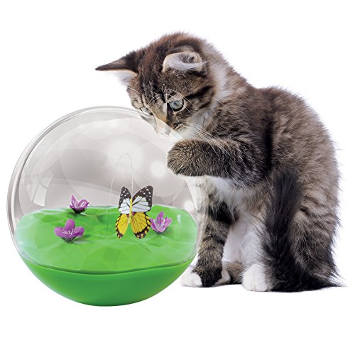 Algopix Similar Product 6 - Petmate Jackson Galaxy Butterfly Ball