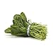 Algopix Similar Product 7 - Greens Spinach Organic, 1 Bunch