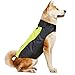 Algopix Similar Product 12 - VIZPET Dog Raincoat Waterproof