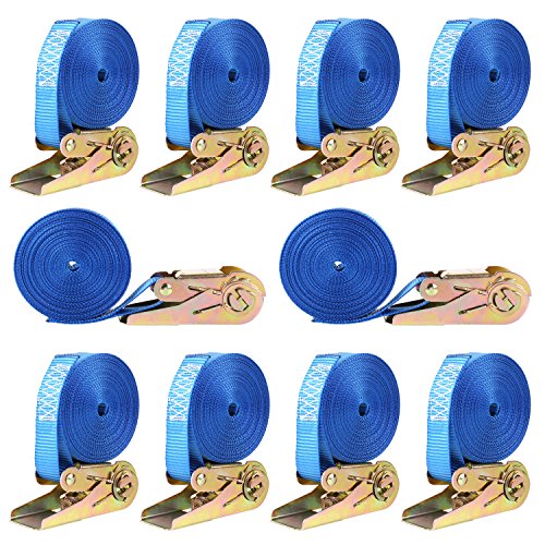 Algopix Similar Product 3 - FIXKIT 10x Ratchet Tie Down Strap