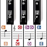 Algopix Similar Product 15 - Color Piano Stickers wComplete Notes