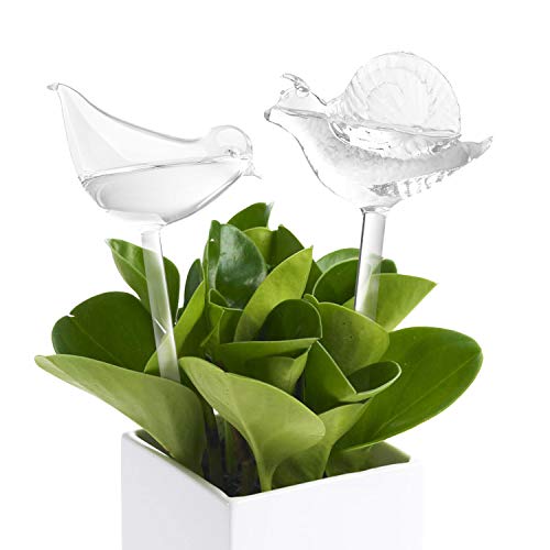 Algopix Similar Product 7 - Plant Watering Bulbs 2 Pack Glass