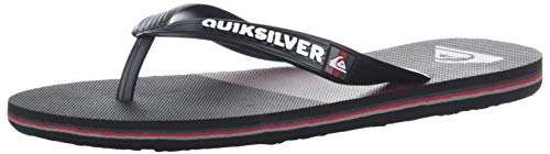 Algopix Similar Product 8 - Quiksilver Boys Molokai Tijuana Youth