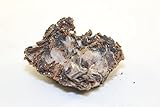 Algopix Similar Product 6 - RED VANADINITE CRYSTAL CLUSTERS On