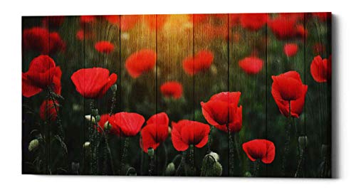 Algopix Similar Product 17 - Epic Graffiti Wood Series Field of