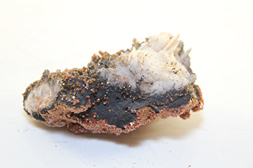 Algopix Similar Product 8 - Collectors Specimen VANADINITE CRYSTAL