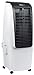 Algopix Similar Product 19 - NewAir EC300W Portable Evaporative Air