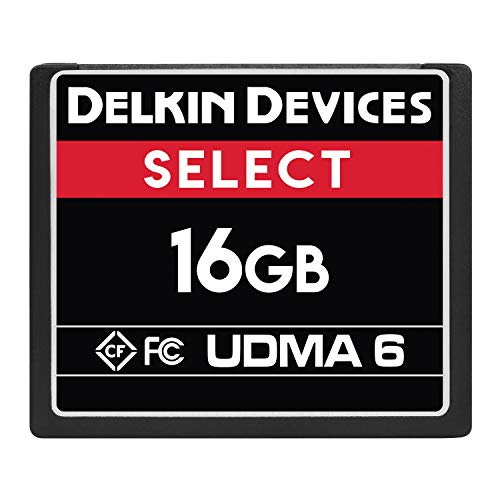 Algopix Similar Product 15 - Delkin Devices 16GB Select CompactFlash