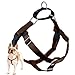 Algopix Similar Product 2 - 2 Hounds Design Freedom No Pull Dog