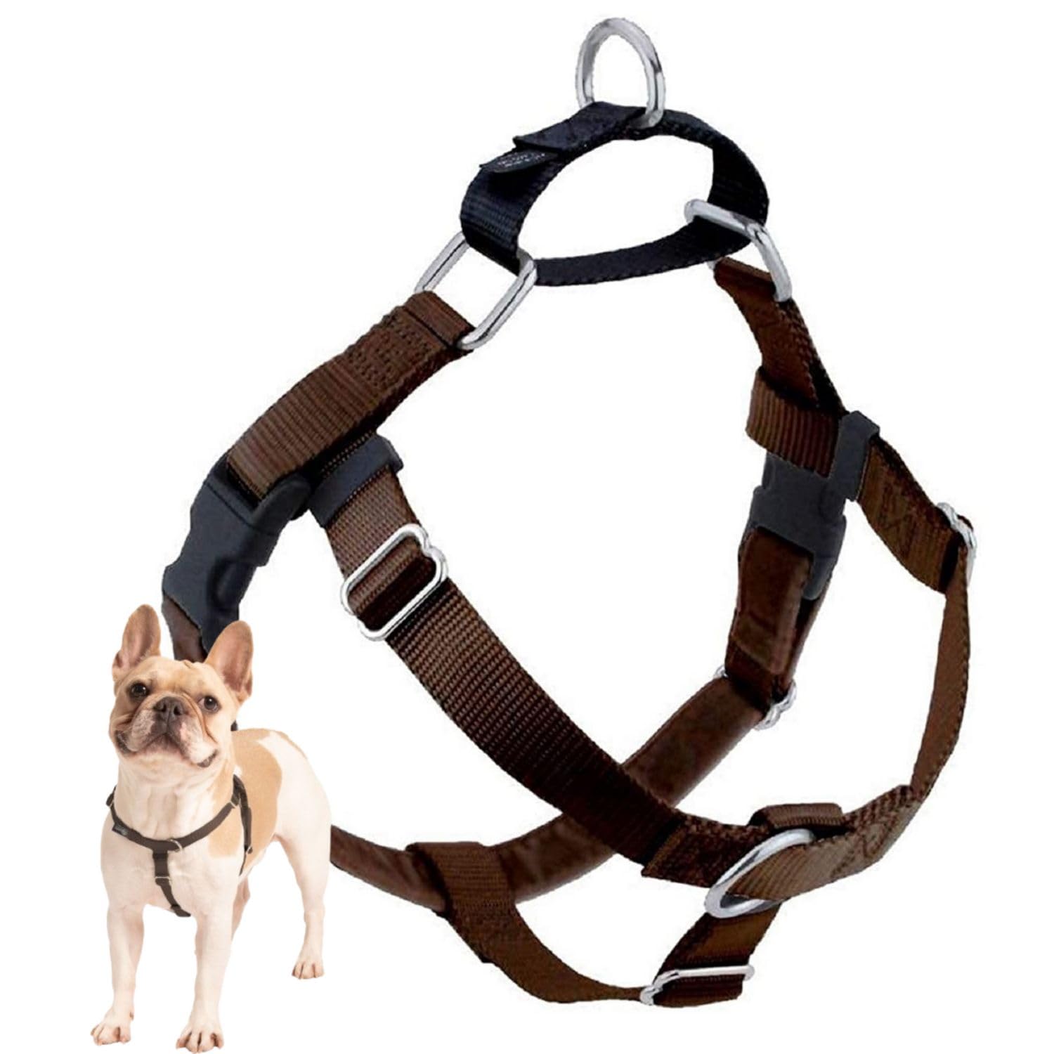 Algopix Similar Product 3 - 2 Hounds Design Freedom No Pull Dog