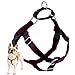 Algopix Similar Product 9 - 2 Hounds Design Freedom No Pull Dog