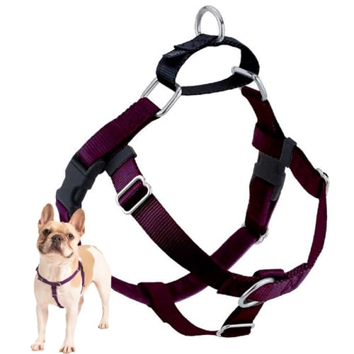 Algopix Similar Product 19 - 2 Hounds Design Freedom No Pull Dog