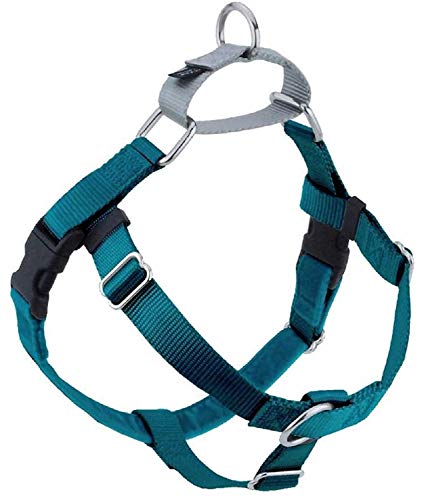 Algopix Similar Product 19 - 2 Hounds Design Freedom No Pull Dog
