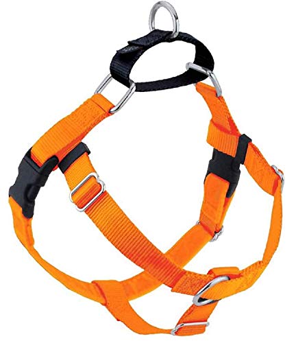 Algopix Similar Product 7 - 2 Hounds Design Freedom No Pull Dog