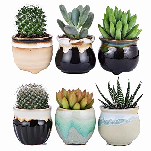 Algopix Similar Product 1 - 25 Inch Ceramic PlantersFlowing Glaze