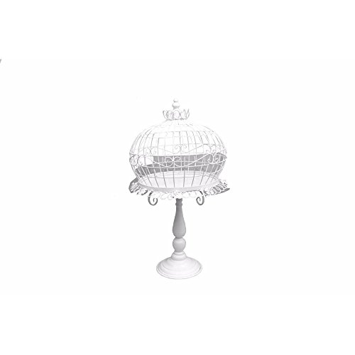 Algopix Similar Product 6 - Benjara BM164638 Metal Planter in Cage