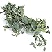 Algopix Similar Product 4 - Factory Direct Craft Artificial Pothos