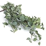 Algopix Similar Product 14 - Factory Direct Craft Artificial Pothos