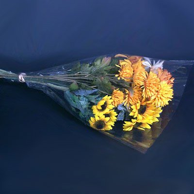 Algopix Similar Product 12 - Clear Cut Flower Bouquet Sleeves  10