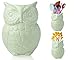 Algopix Similar Product 9 - Comfify Owl Utensil Holder Decorative