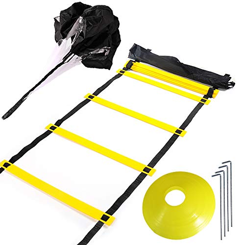 Algopix Similar Product 4 - Huvai Agility Ladder 20ft 12 Rung